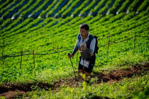 BIB: 
                            <button type="button" onclick="openModal(19160615)" class="btn btn-primary btn-sm float-right btn-popup" data-toggle="modal" data-target=".modal-high-quality">
                        <i class="fas fa-shopping-cart"></i> Add to Cart
                    </button>
                                            <button type="button" onclick="isThisMe(19160615, true)" class="btn btn-success btn-sm float-right btn-popup btn-isme hidden" data-toggle="tooltip" data-placement="bottom" title="นี่คือรูปของคุณใช่ไหม คลิกที่นี่เพื่อเอาเข้าอัลบั้ม">
                        <i class="fas fa-plus"></i> Add to album
                    </button>
                    <button type="button" onclick="isThisMe(19160615, false)" class="btn btn-warning btn-sm float-right btn-popup btn-isnotme hidden">
                        <i class="fas fa-ban"></i> Remove from album
                    </button>